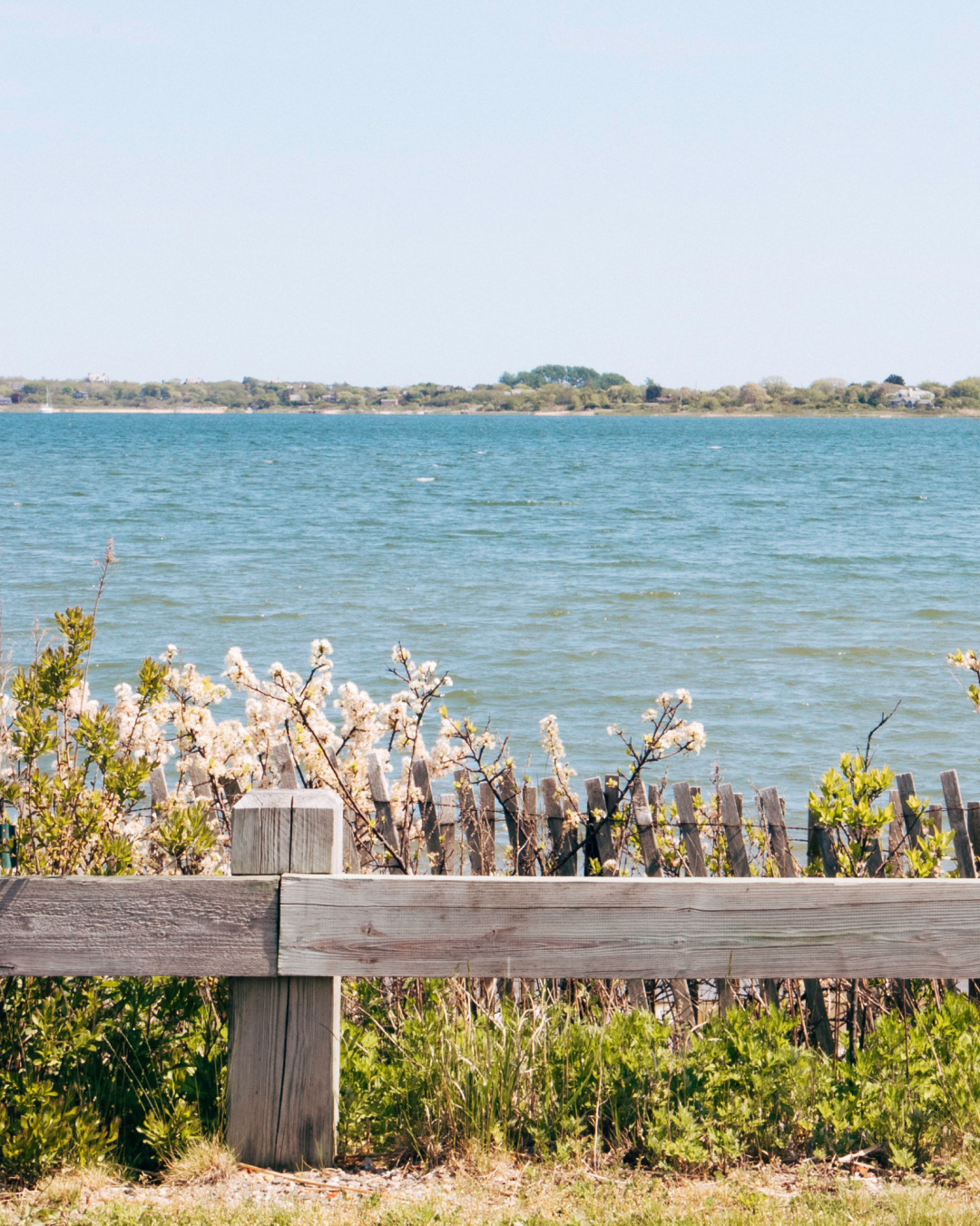 Wooden fence with blooming bushes in front of a calm blue lake.